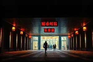 从低空俯拍的巢区与周边地形