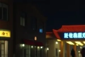 离地二十厘米视角下的取食路径与草茎交错